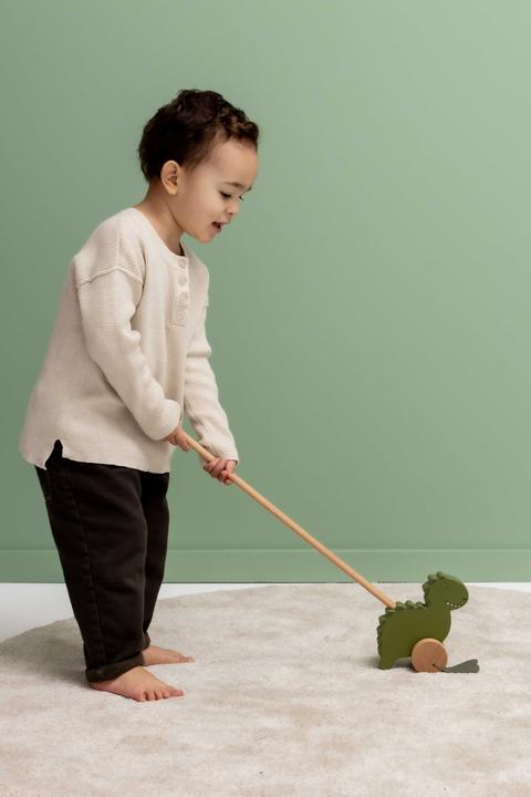 Actual product image Trixie Baby Wooden dinosaur push-along toy