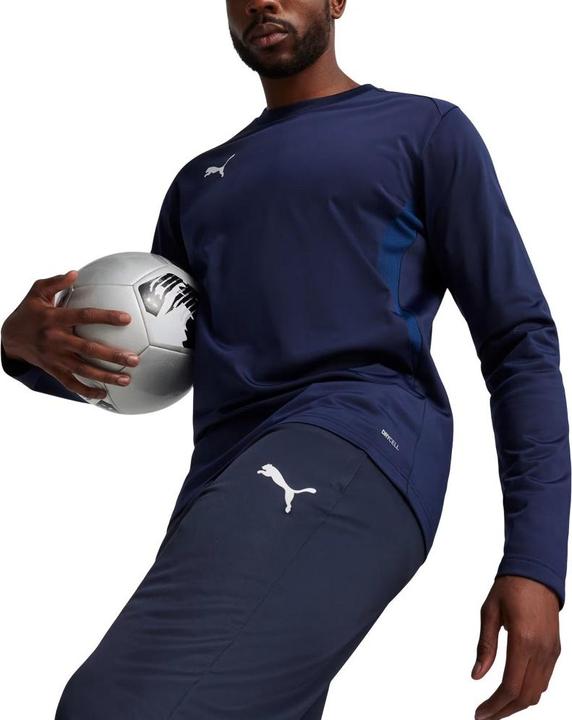 Produktbild Puma Team Goal Jogginghosen Training (L)
