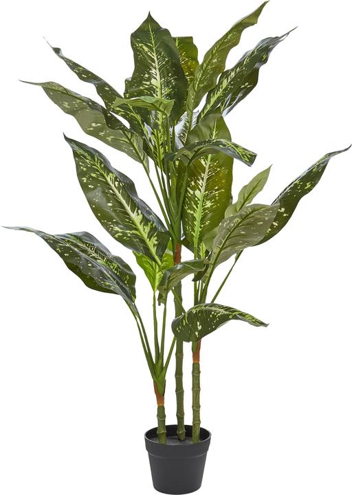 Immagine prodotto Beliani Dieffenbachia (110 cm)