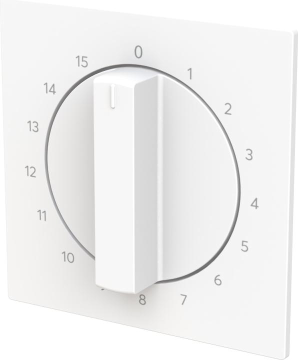 Actual product image Busch-Jaeger Central disc