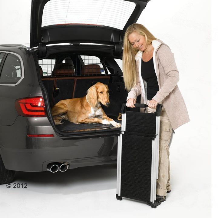 Produktbild Kleinmetall Hunderampe DogWalk3 (Hund)
