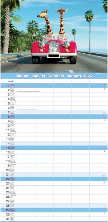 Produktbild Familienplaner Premium Funny 2023 24.5 x 51.5 cm (24.5 x 51.5 cm)