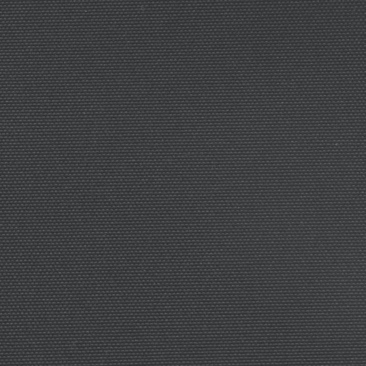 Image du produit vidaXL Store latéral extensible (12 m)