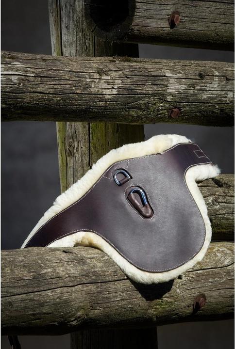 Produktbild HFI Master Sattelgurt