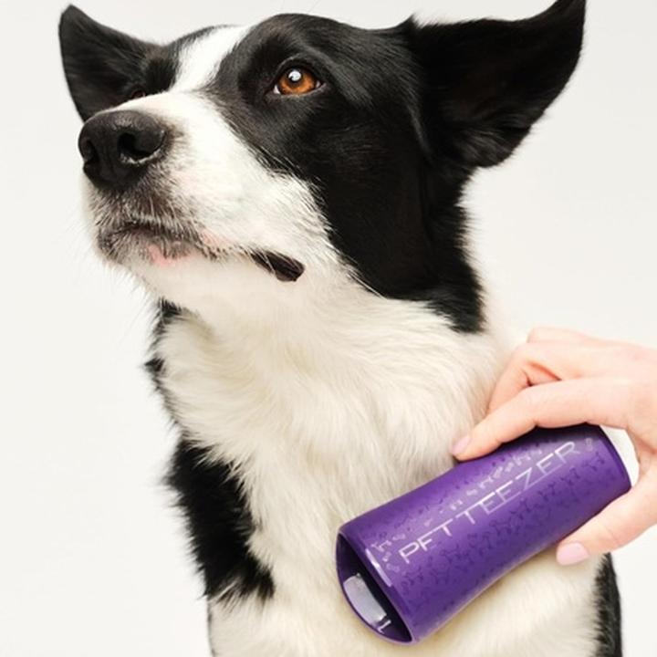 Actual product image Tangle Teezer Pet Teezer Detangling Purple (Dog)