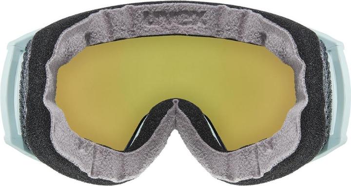 Actual product image Uvex Sports victorious small FM