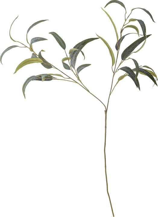 Immagine prodotto Bloomingville Eucalyptus (101 cm)