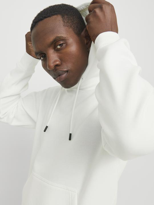Actual product image Jack & Jones Jjebradley Sweat Hood Noos (L)