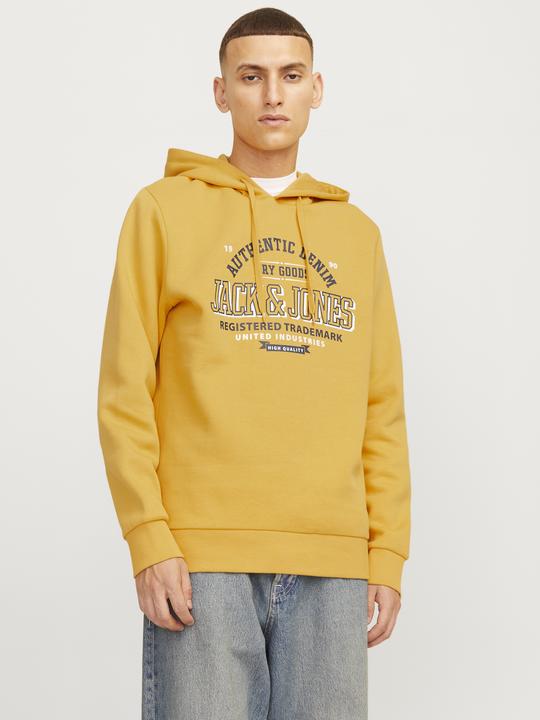 Produktbild Jack & Jones JJELOGO SWEAT HOOD 2 COL 24/25 NOOS (S)