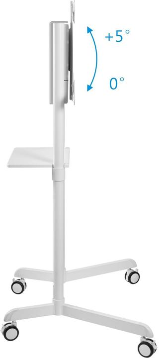 Actual product image Purelink PM-CART-80W (80", 70 kg)