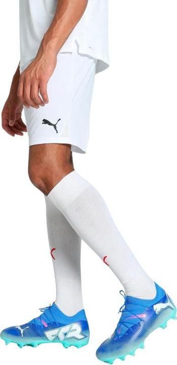 Produktbild Puma teamGOAL Shorts (XXL)