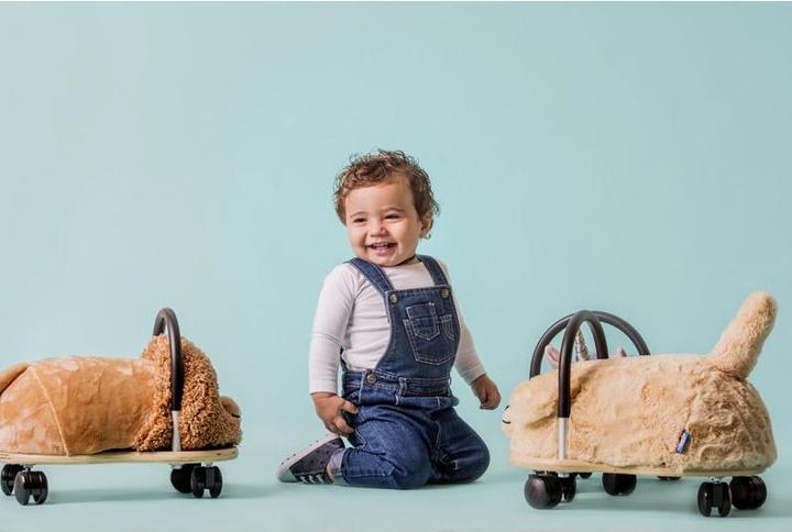 Actual product image Wheely Bug Lion