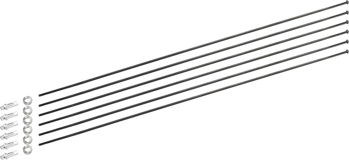 Immagine prodotto DT Swiss Kit di raggi per PR 1600 Dicut 21 mm