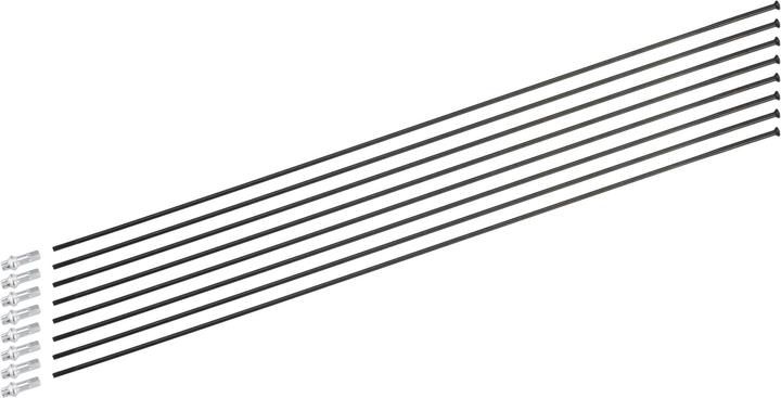 Immagine prodotto DT Swiss Kit di raggi per H 1900 Spline 29