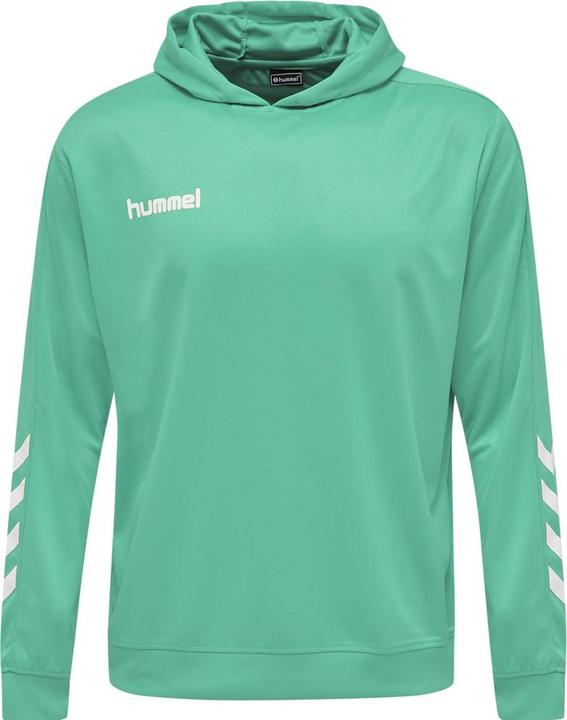 Produktbild hummel Promo Kids Poly Hoodie (176)