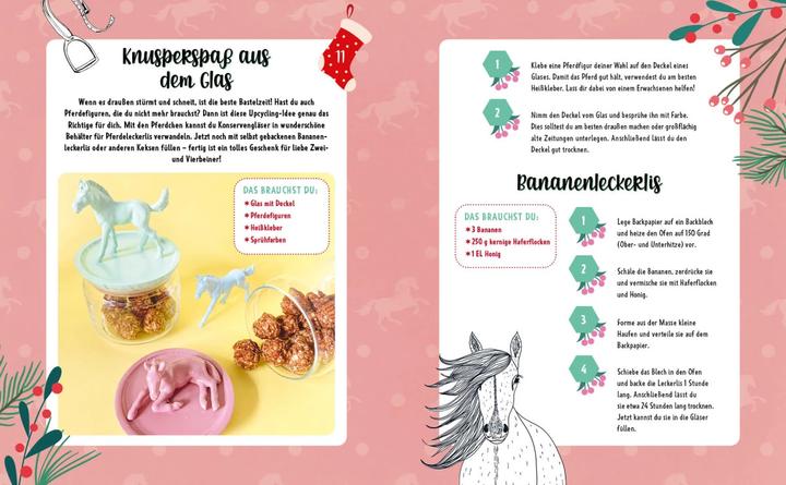 Actual product image # ponylife - Advent calendar book (by Lia and Lea)
