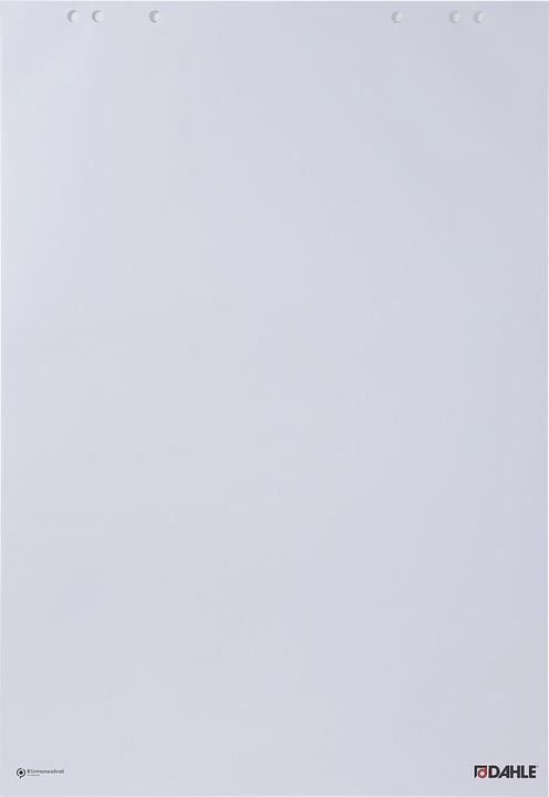 Actual product image Dahle Flip chart blocks