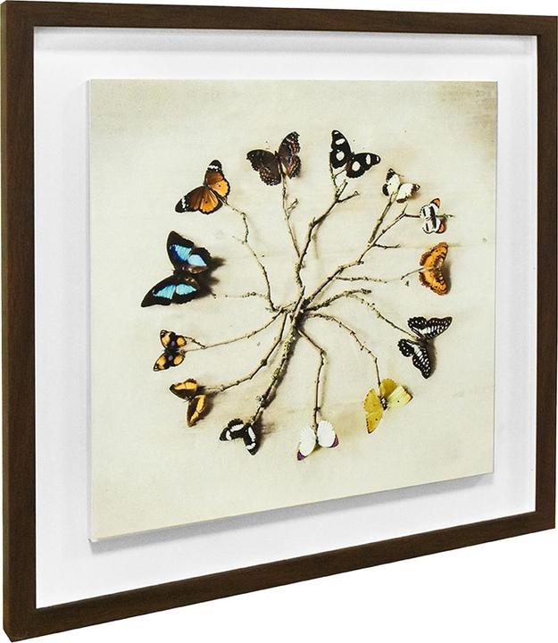 Actual product image Ian Winstanley Butterfly Harmony Wood Framed Plaque