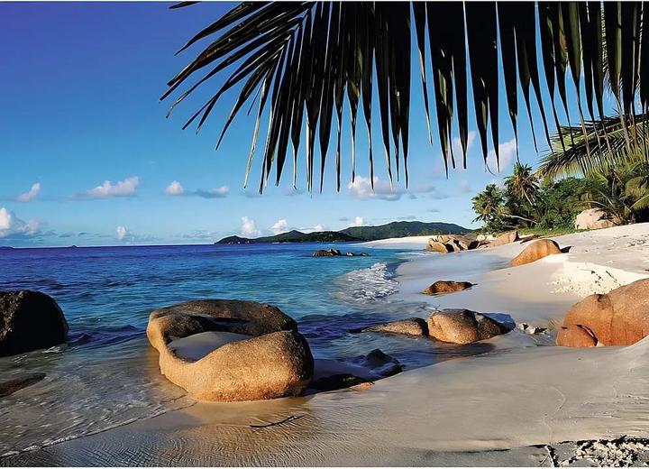 Immagine prodotto Ravensburger Spiaggia con palme (1000 pezzi)