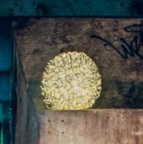 Image du produit STT Le bal de Leonis