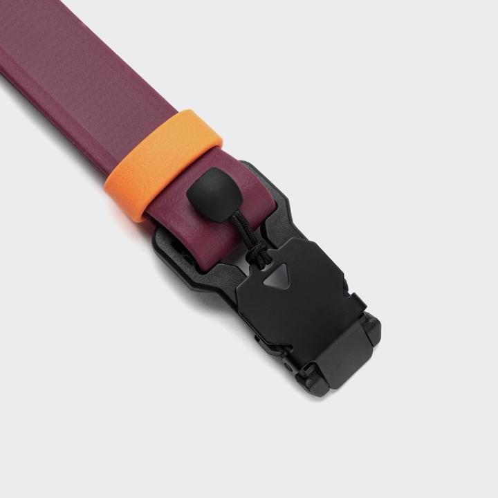 Actual product image Cloud 7 Ipanema BioThane (S, Dog, General)