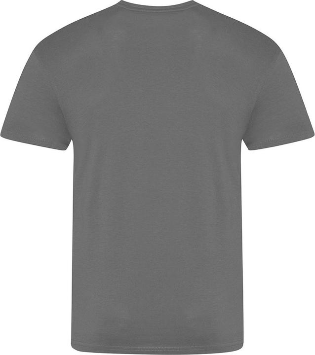Actual product image Awdis The 100 Tshirt (XXL)