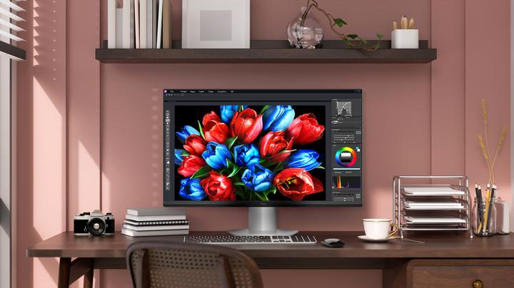 Actual product image TCL 25G54 (1920 x 1080 pixels, 25")