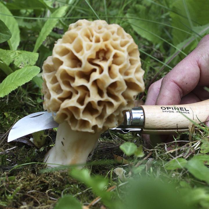 Actual product image Opinel No. 8 (7 cm)