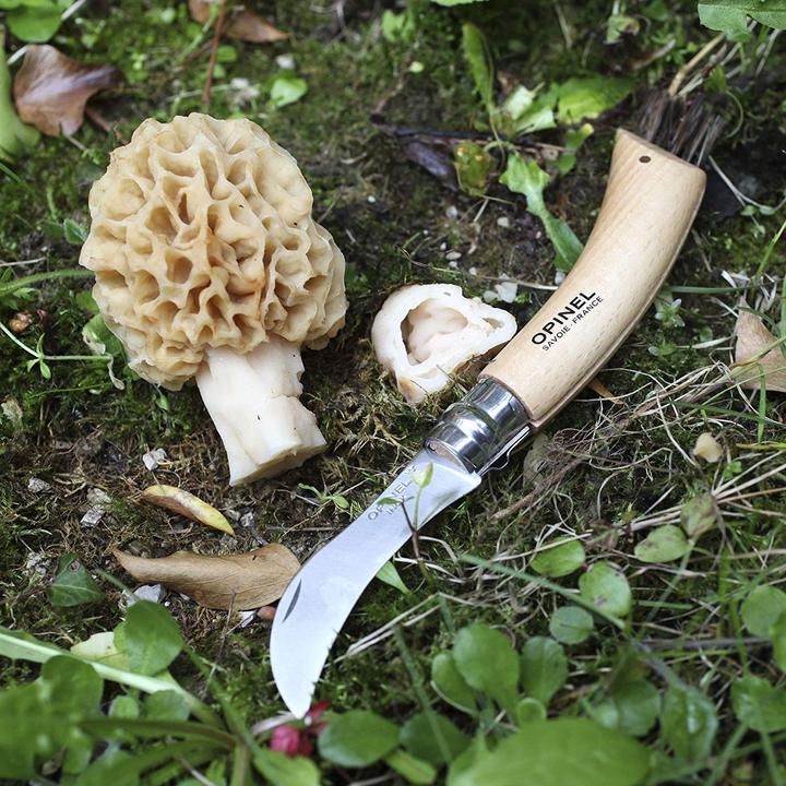 Actual product image Opinel No. 8 (7 cm)