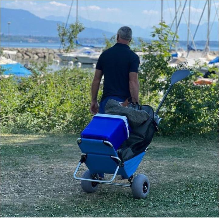 Actual product image 9WS Chariot Sige de plage