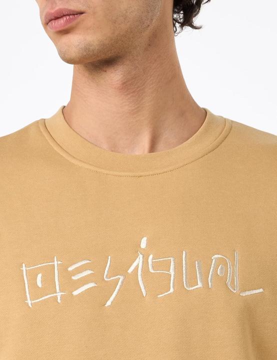 Actual product image Desigual Sweat Aquiles (L)