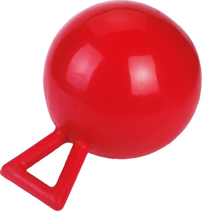 Produktbild Kerbl Spielball