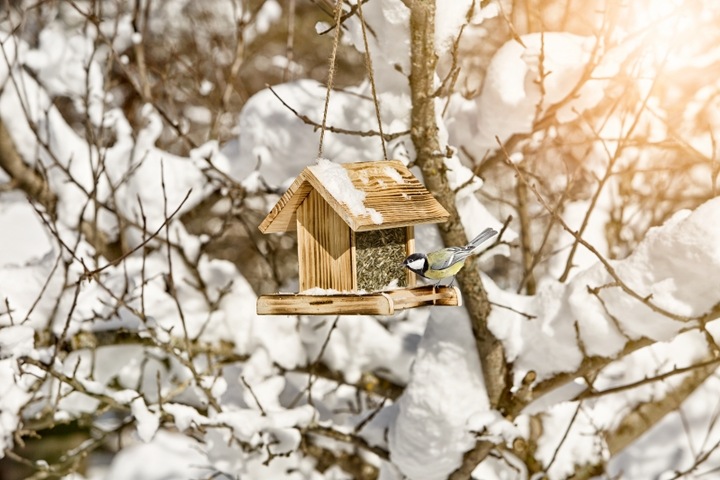Immagine prodotto Windhager Giardino