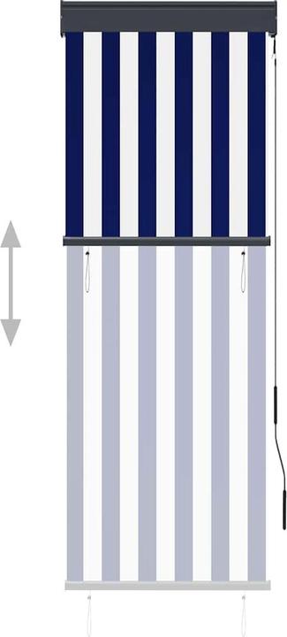 Produktbild vidaXL Aussenrollo (60 x 250 cm)