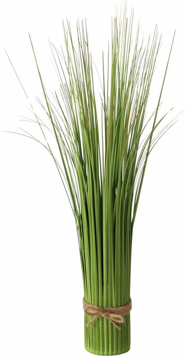 Immagine prodotto Boltze Home Pianta artificiale (58 cm)