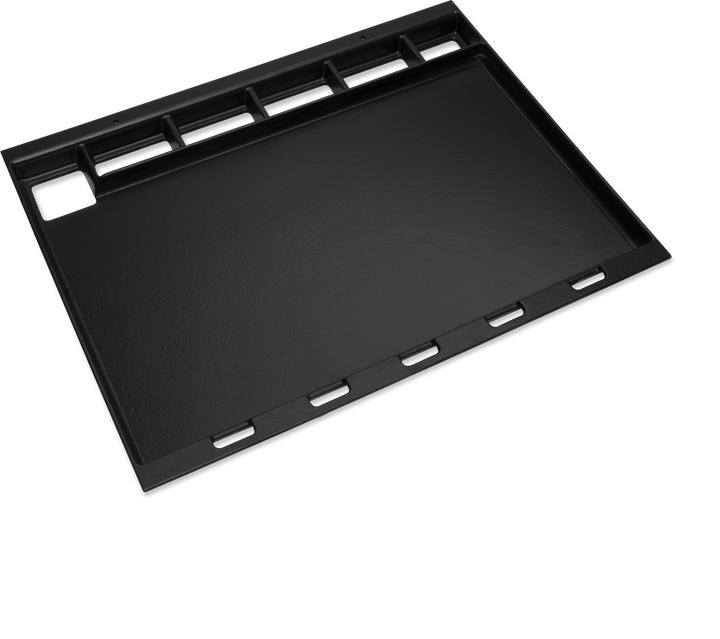 Actual product image Weber Spirit 300 Series