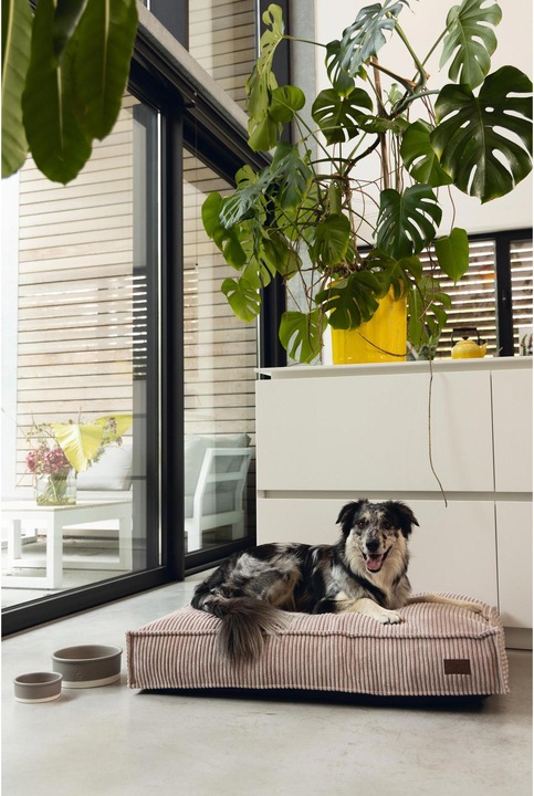 Productafbeelding Designed by Lotte Geribbeld (Hond)