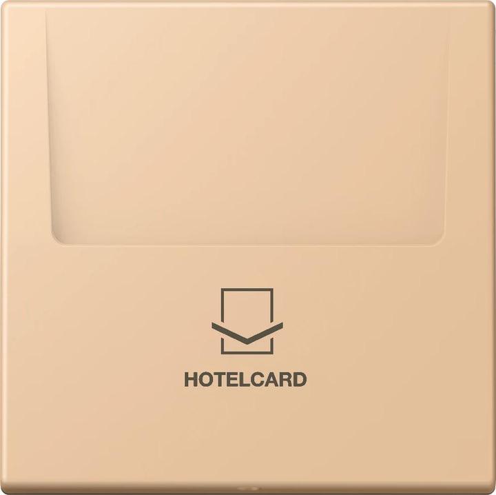 Image du produit JUNG Guichet Hotelcard (Carte clé)