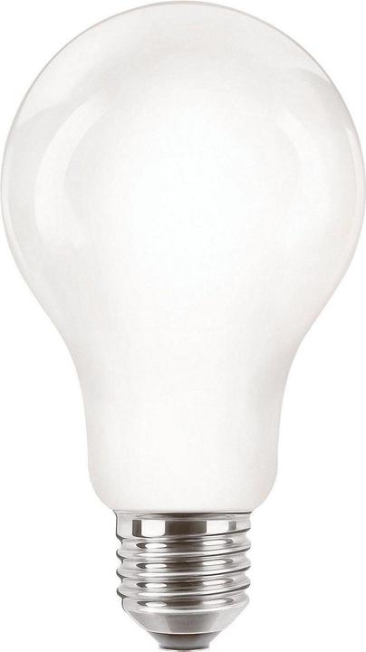 Actual product image Philips Professional CorePro LED (E27, 13 W, 2000 lm, 1 x, D)