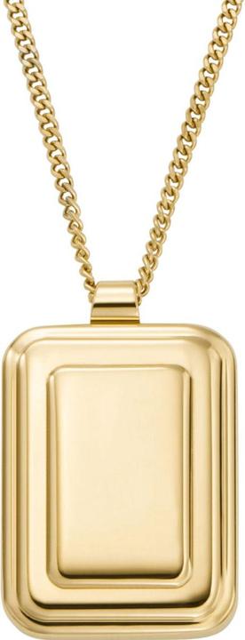Image du produit Fossil JF04951710 Collier (Acier inoxydable)