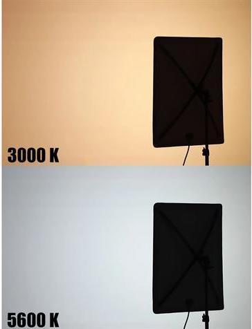 Image du produit Falcon Eyes Softbox + nid d'abeille RX-18SBHC III pour LED RX-18TDX III (Diffuseur)