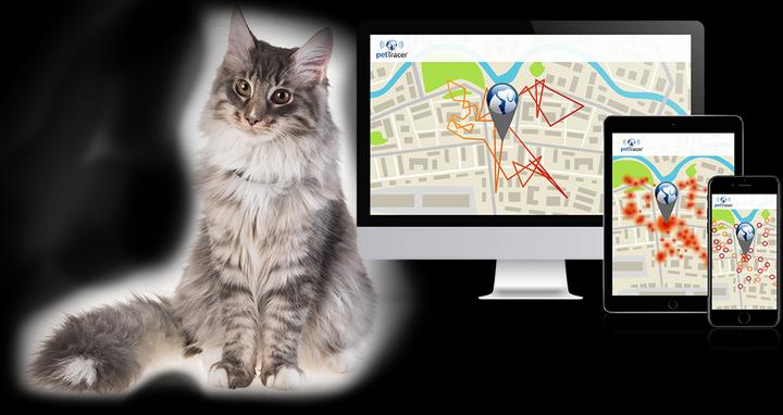 Produktbild PetTracer Katzen-GPS-Ortungsgerät (Katze, Allgemein)