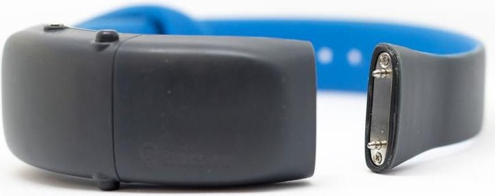 Produktbild Tractive GPS Tracker (Katze, Spazieren)