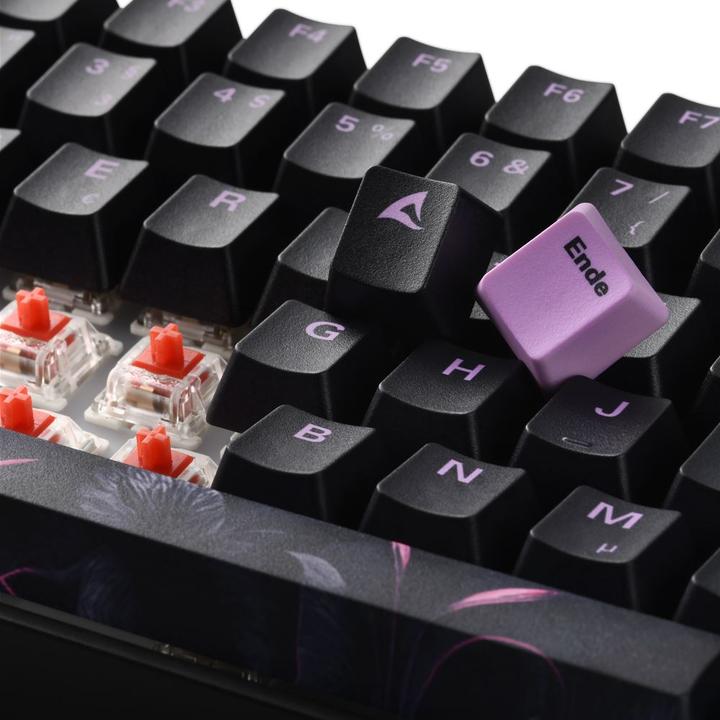 Actual product image Sharkoon SKILLER SGK50 S3 Design Bundle D2 (DE, Cable)