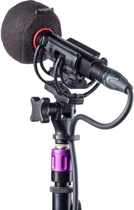 Image du produit Rycote Baseball, Black (24/25) 1 pc. (Mousse)