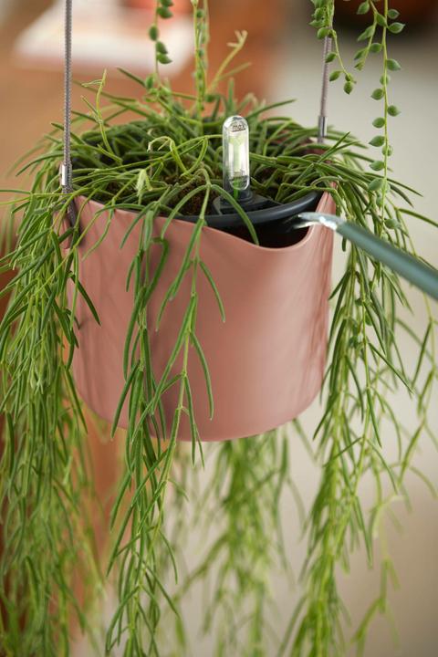 Produktbild Elho B.for Swing (20 x 17 cm)