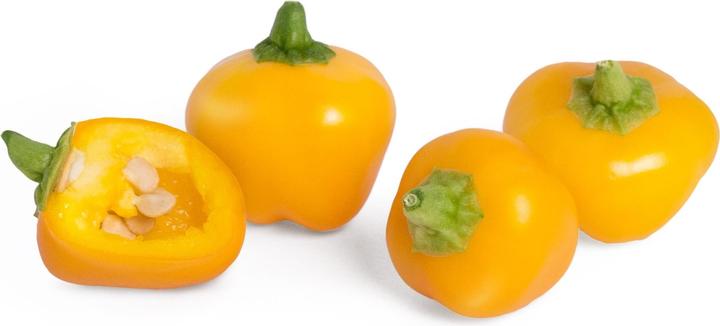 Image du produit Véritable Lingot Mini Poivron jaune BIO (Graines de plantes)