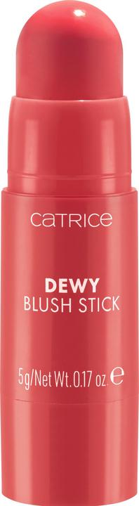Catrice Dewy Blush Stick (010 Sheen On You)