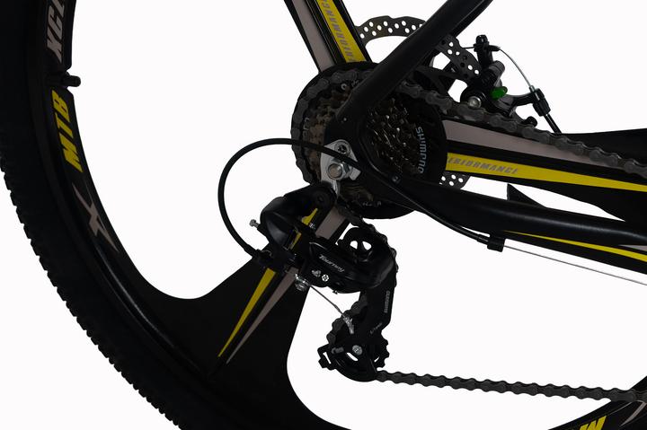 Actual product image KS Cycling WYLD Mountainbike Hardtail 29" Xplicit 21 Gänge (53 cm)