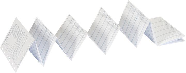 Produktbild Succes Junior Jahresinhalt Januar - Dezember (8 x 12.5 cm, Deutsch, Englisch, Italienisch, Französisch)